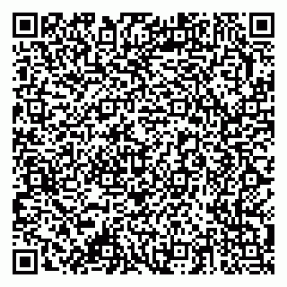 vCard 79378003717