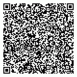 vCard 79378003731