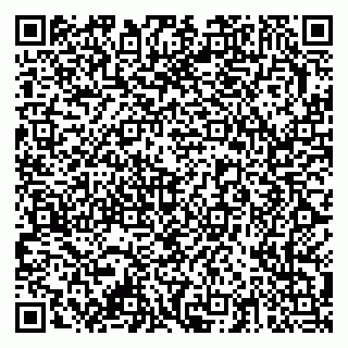 vCard 79378003775
