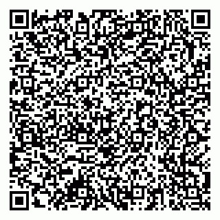 vCard 79378003776
