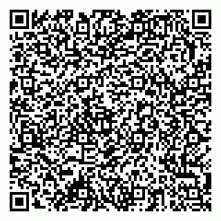 vCard 79378003821