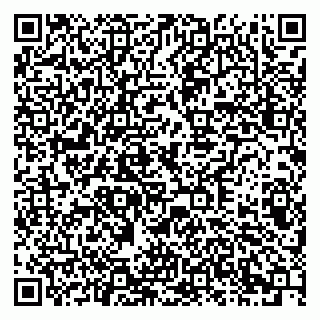 vCard 79378003824