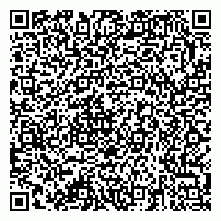 vCard 79378003831