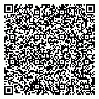 vCard 79378003839