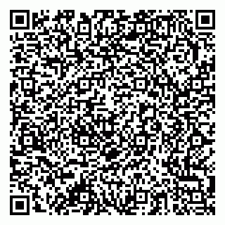 vCard 79378003847