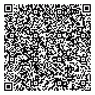 vCard 79378003859