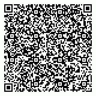 vCard 79378003861