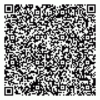 vCard 79378003871