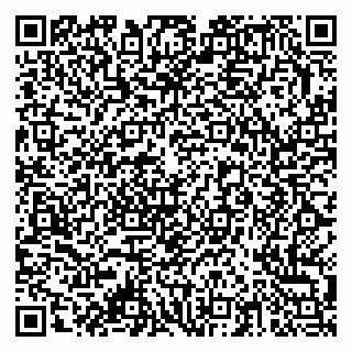 vCard 79378003874