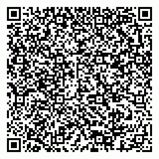 vCard 79378003878