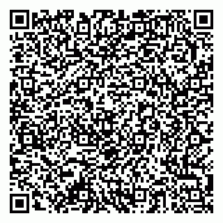 vCard 79378003881
