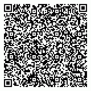 vCard 79378003884