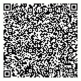 vCard 79378003895