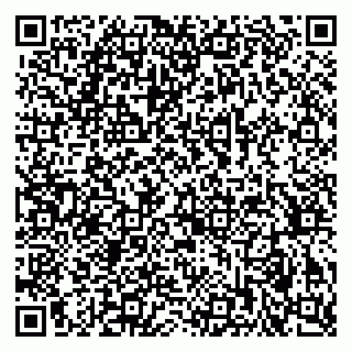 vCard 79378003903