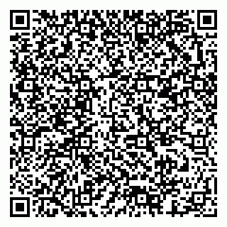 vCard 79378003909
