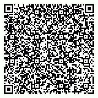 vCard 79378003917