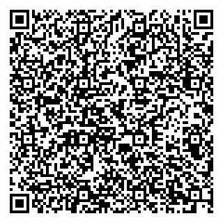 vCard 79378003930