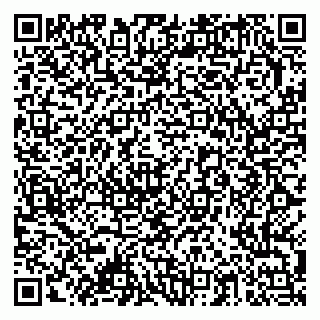 vCard 79378003941