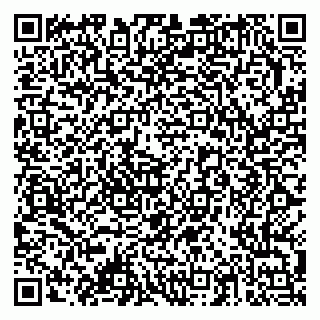 vCard 79378003953