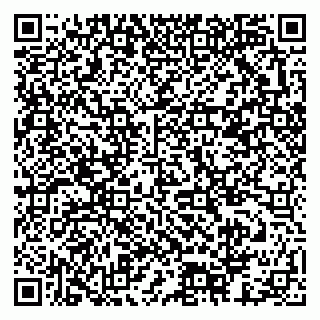 vCard 79378003973