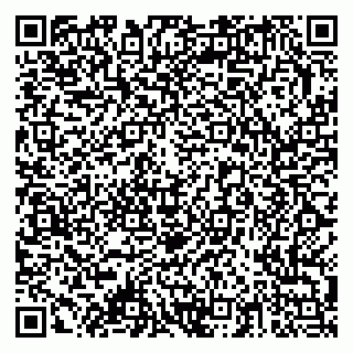 vCard 79378003977