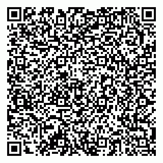 vCard 79378003985