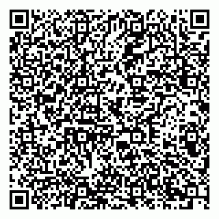 vCard 79378003987