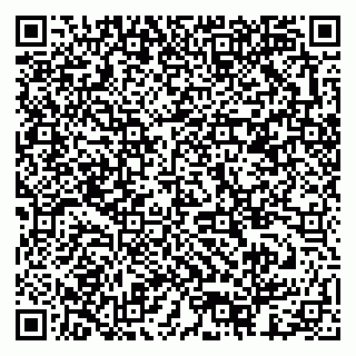 vCard 79378003994