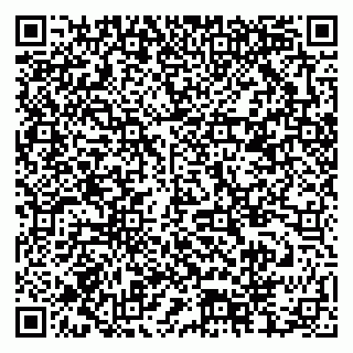 vCard 79378004013