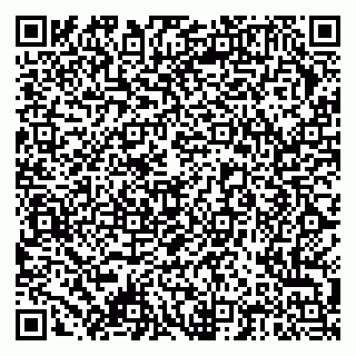 vCard 79378004021