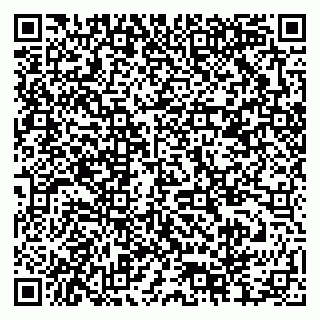 vCard 79378004022