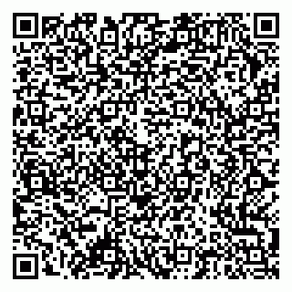vCard 79378004025