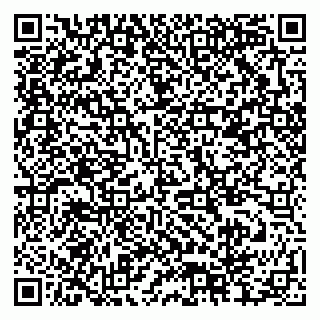 vCard 79378004029
