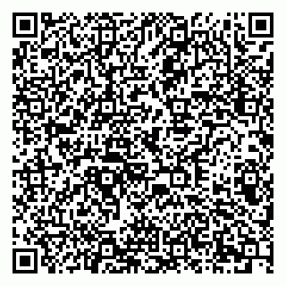 vCard 79378004031