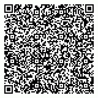 vCard 79378004032