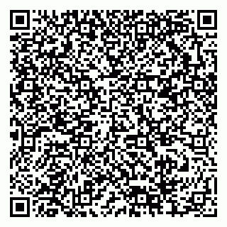 vCard 79378004036