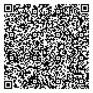 vCard 79378004037