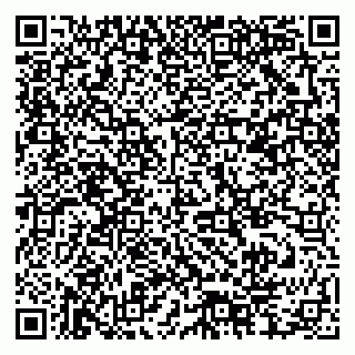 vCard 79378004051