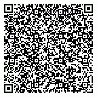 vCard 79378004053