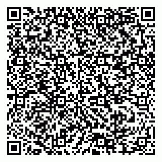 vCard 79378004060