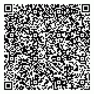 vCard 79378004062