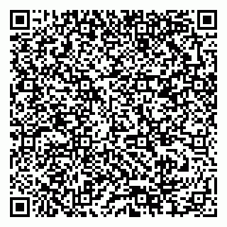 vCard 79378004070