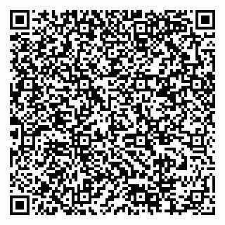 vCard 79378004073