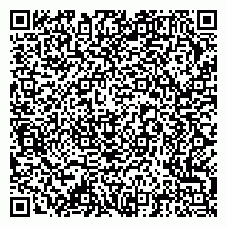 vCard 79378004077