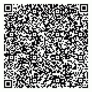 vCard 79378004079