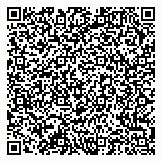 vCard 79378004081