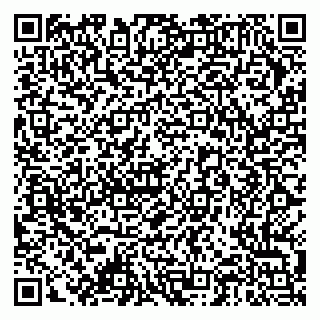 vCard 79378004082