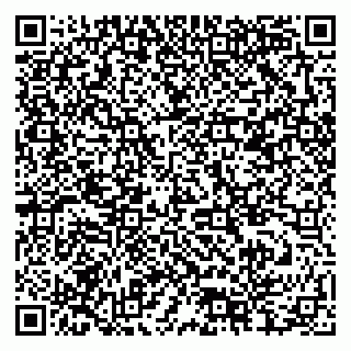 vCard 79378004085