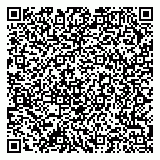 vCard 79378004089