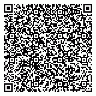 vCard 79378004094